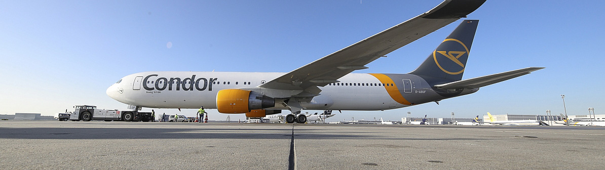 Condor-Header-Brands